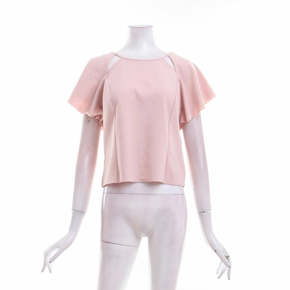 Pink Zara Blouse flair ruffle butterfly sleeve